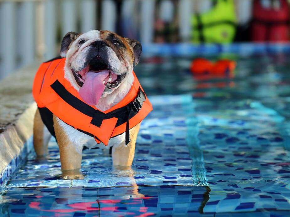 Pool Fence Example in Gainesville Georgia