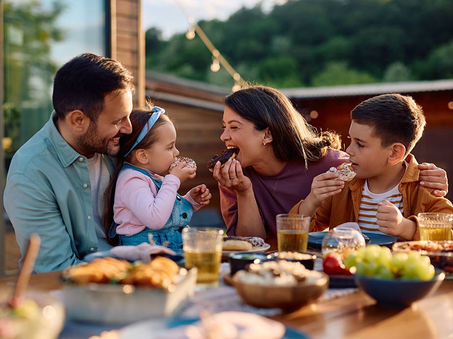 Sugar Hill Georgia Fence Company