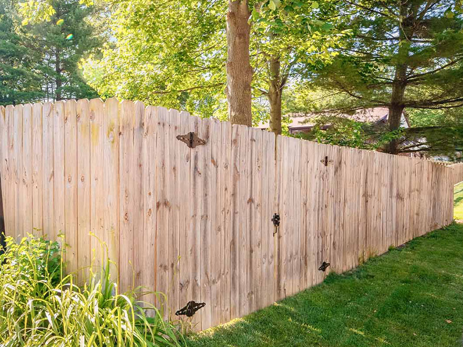 Fence FAQs in North Georgia